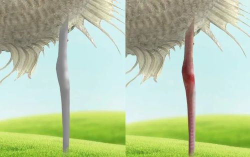 آموزش طراحی موجود خیالی در فتوشاپ